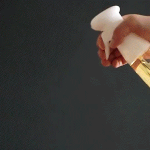 Portable Oil Sprayer