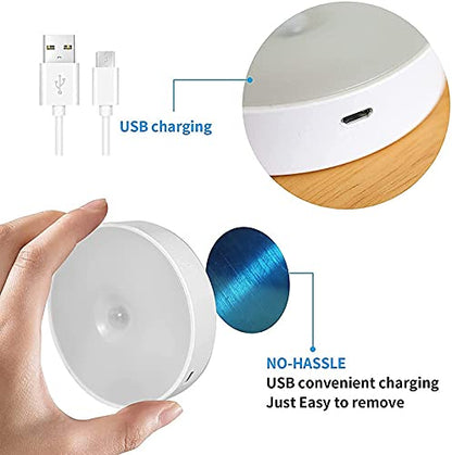 Smart LED Motion Sensor Light